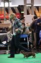 Crufts2011_2 1052